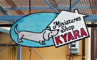 kyara sign.JPG